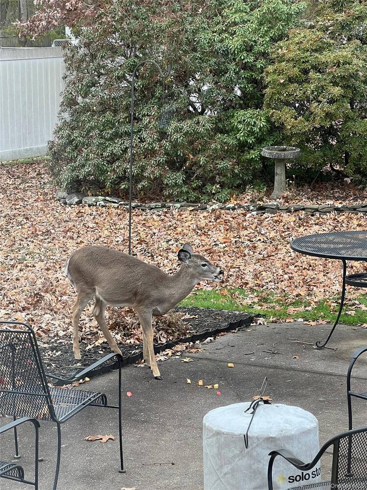 #6 photo, 48 Crystal Beach Boulevard, Moriches , NY 11955