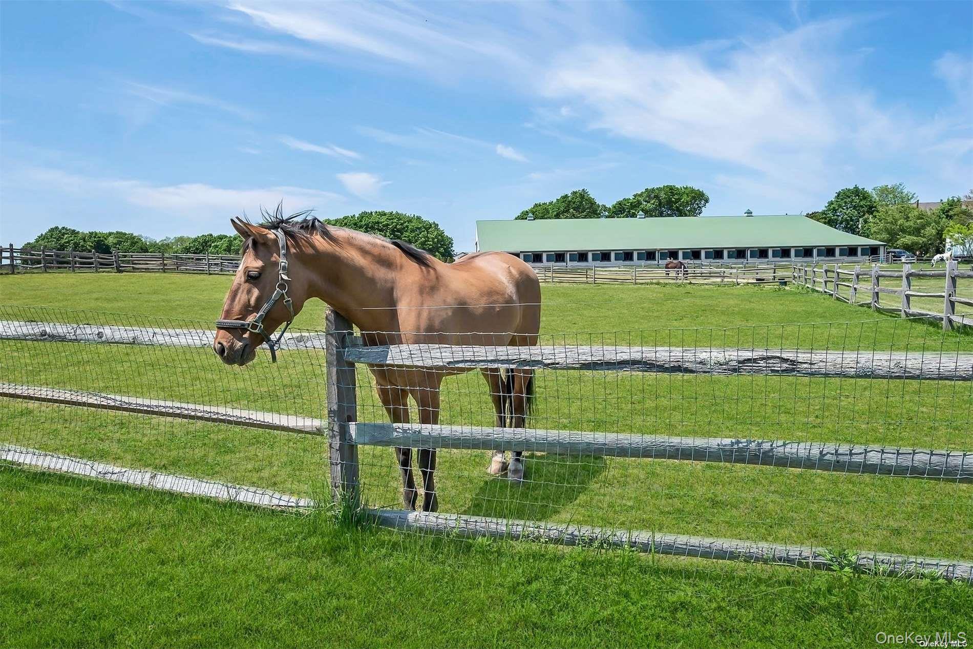 #11 photo, 170 Vineyard Way, Aquebogue , NY 11931