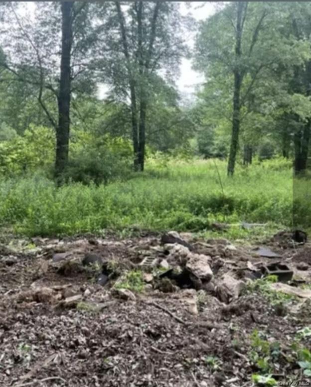 #2 photo, 358/80 Ferguson Lane, Wurtsboro , NY 12790