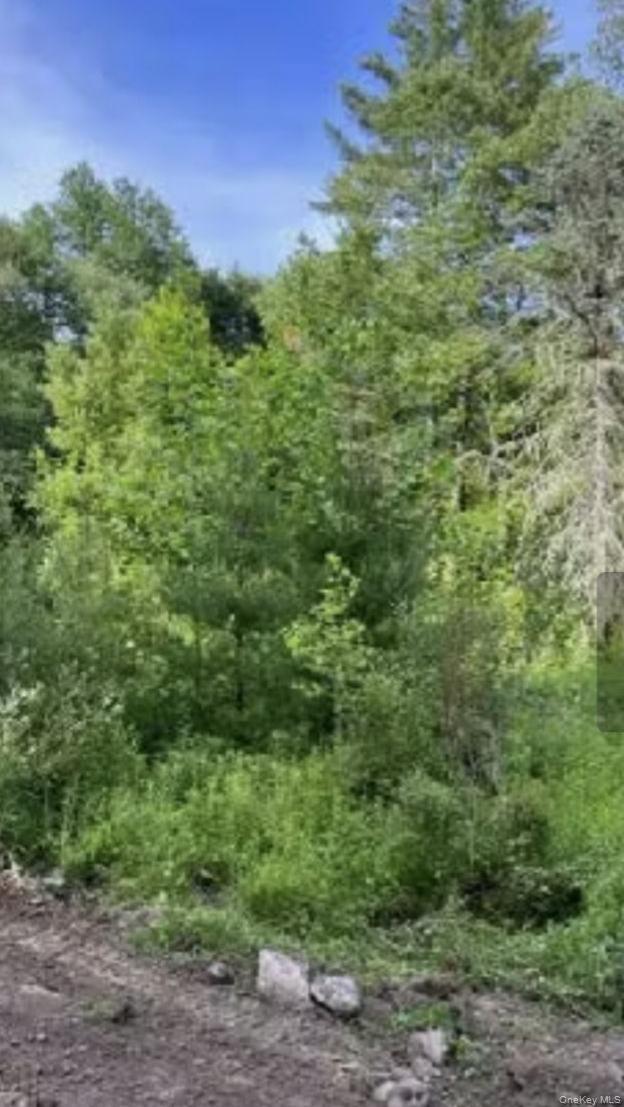 #3 photo, 358/80 Ferguson Lane, Wurtsboro , NY 12790