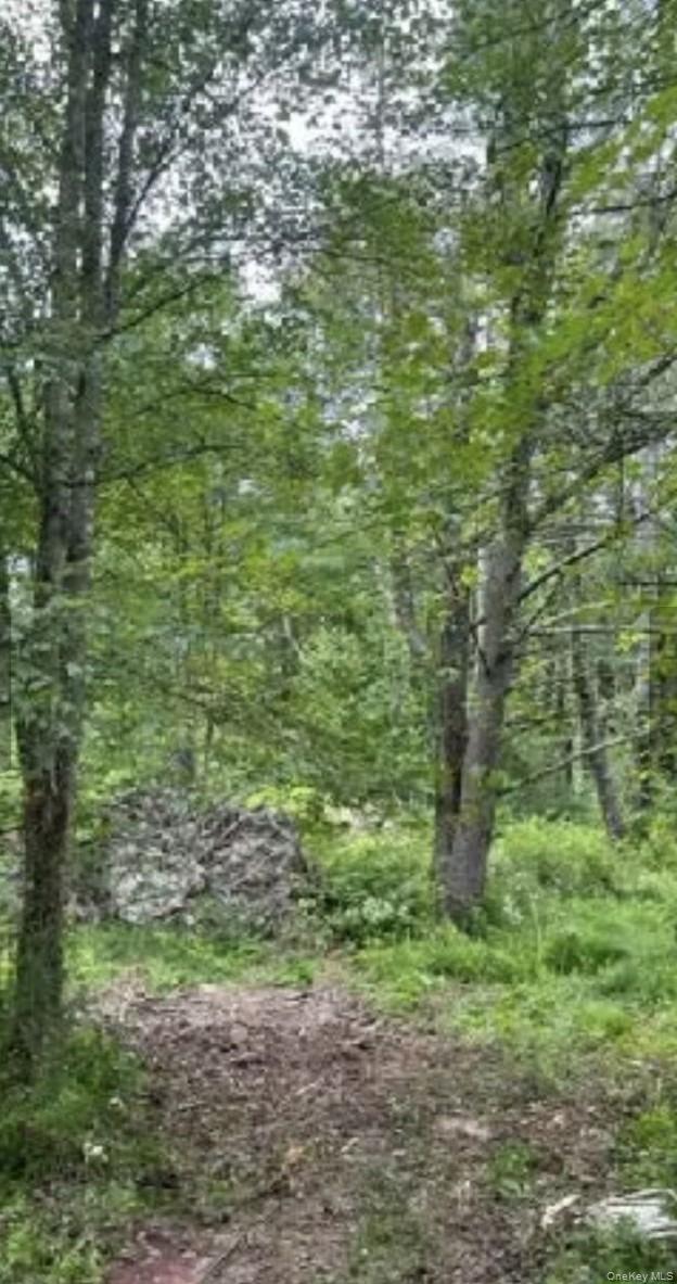 #4 photo, 358/80 Ferguson Lane, Wurtsboro , NY 12790