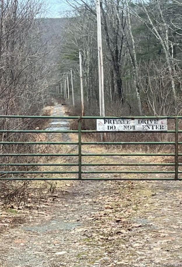 #5 photo, 358/80 Ferguson Lane, Wurtsboro , NY 12790