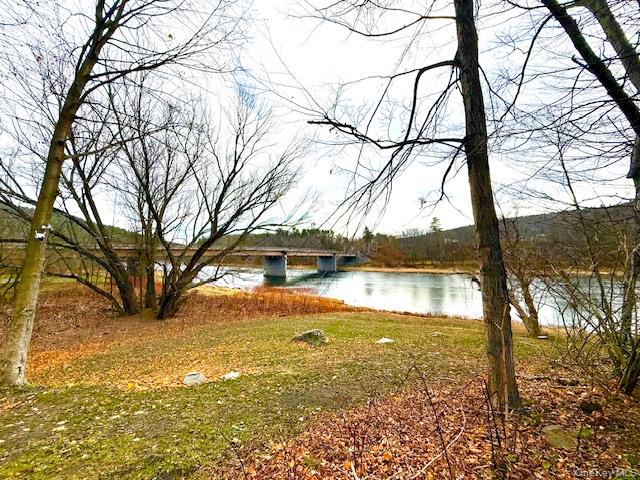 #1 photo, 8 River Road, Barryville , NY 12719