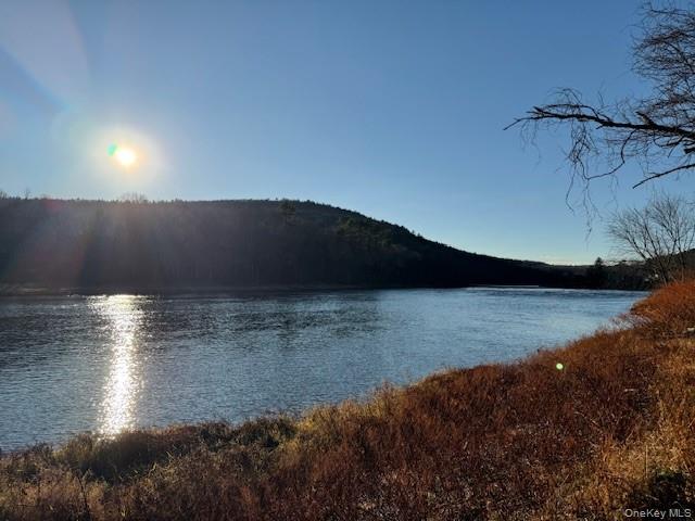 #10 photo, 8 River Road, Barryville , NY 12719