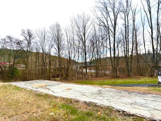 #2 photo, 8 River Road, Barryville , NY 12719