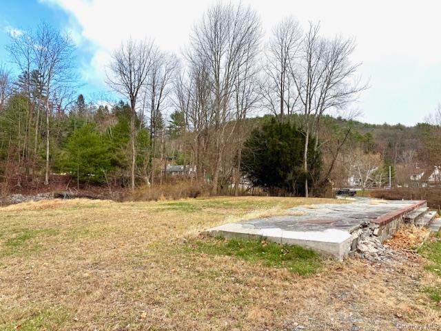 #5 photo, 8 River Road, Barryville , NY 12719