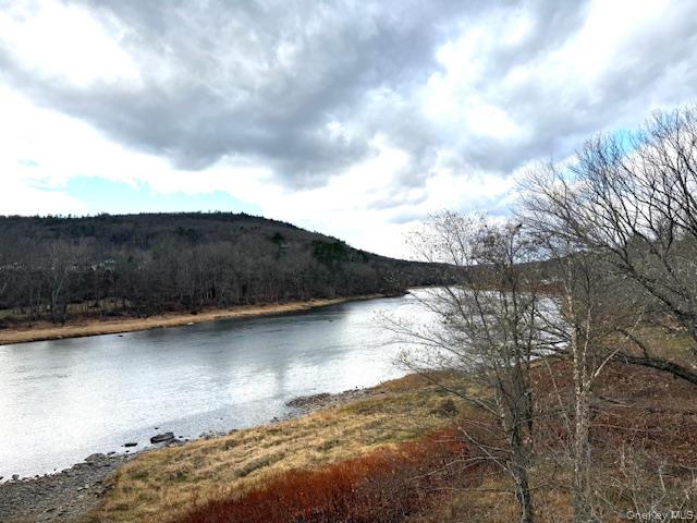 #8 photo, 8 River Road, Barryville , NY 12719