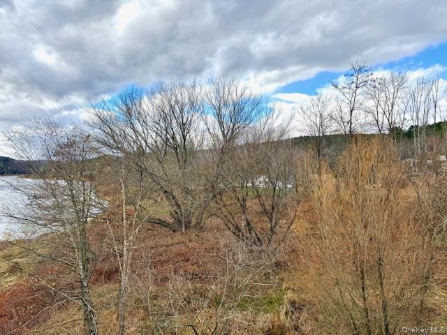 #8 photo, 12 River Road, Barryville , NY 12719