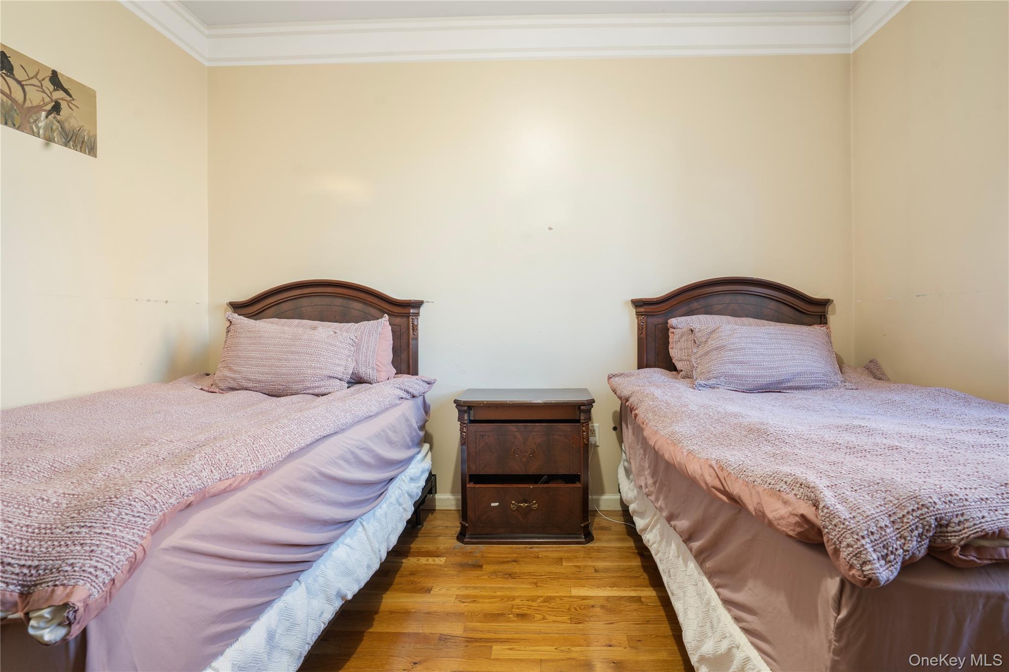 #1 photo, 41 Throop Avenue, Brooklyn , NY 11206