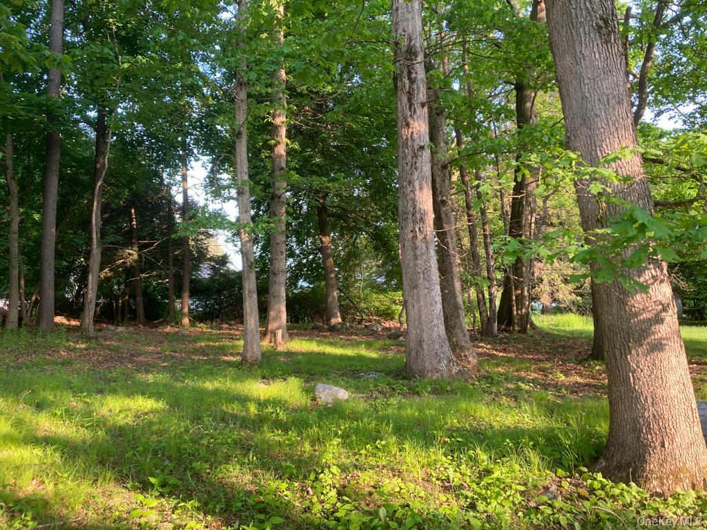 #11 photo, 51 Wileman Avenue, Montgomery , NY 12586