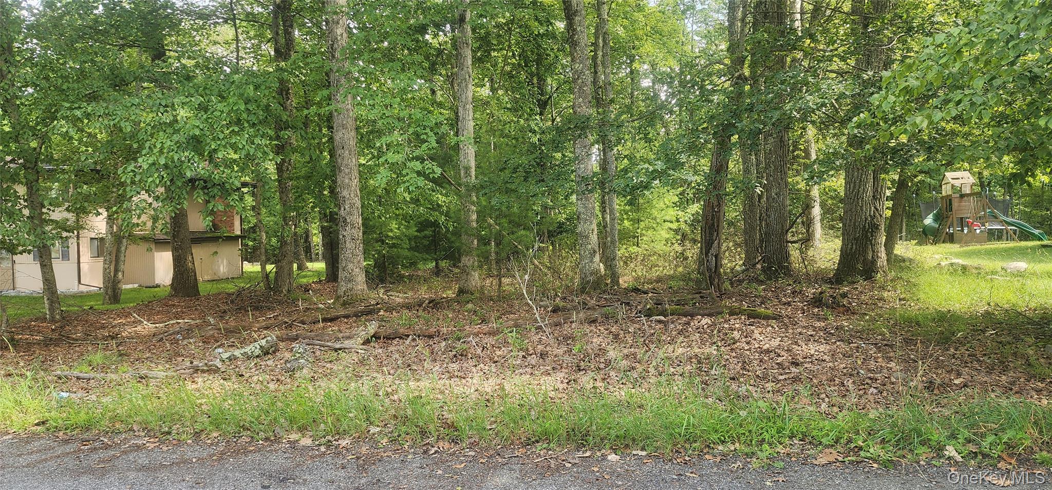 #1 photo, Chelsea Lane, Rock Hill , NY 12775