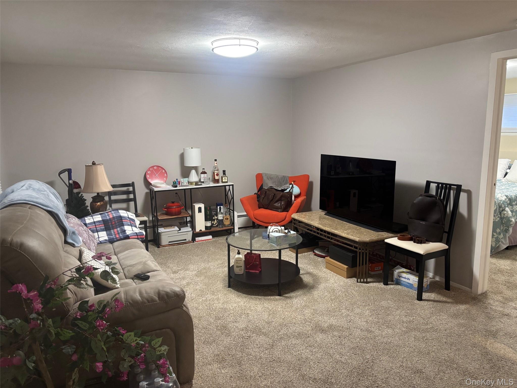 #13 photo, 51 Deer Lane, Hicksville , NY 11801