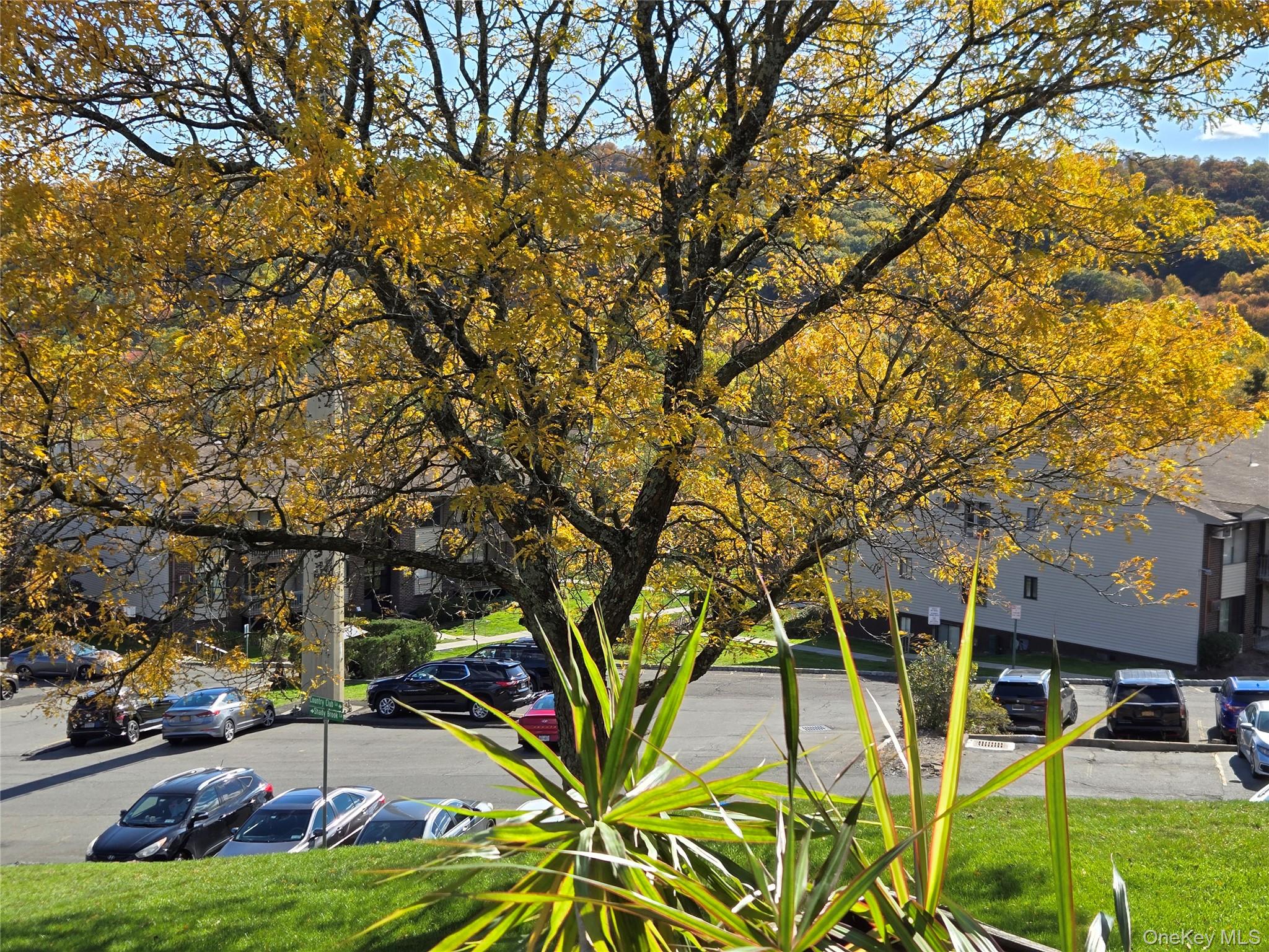 #3 photo, 174 Country Club Lane, Pomona , NY 10970