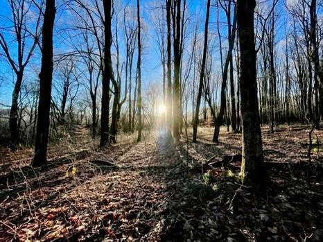 #1 photo, 00 Town Line Rd, McGraw , NY 13101