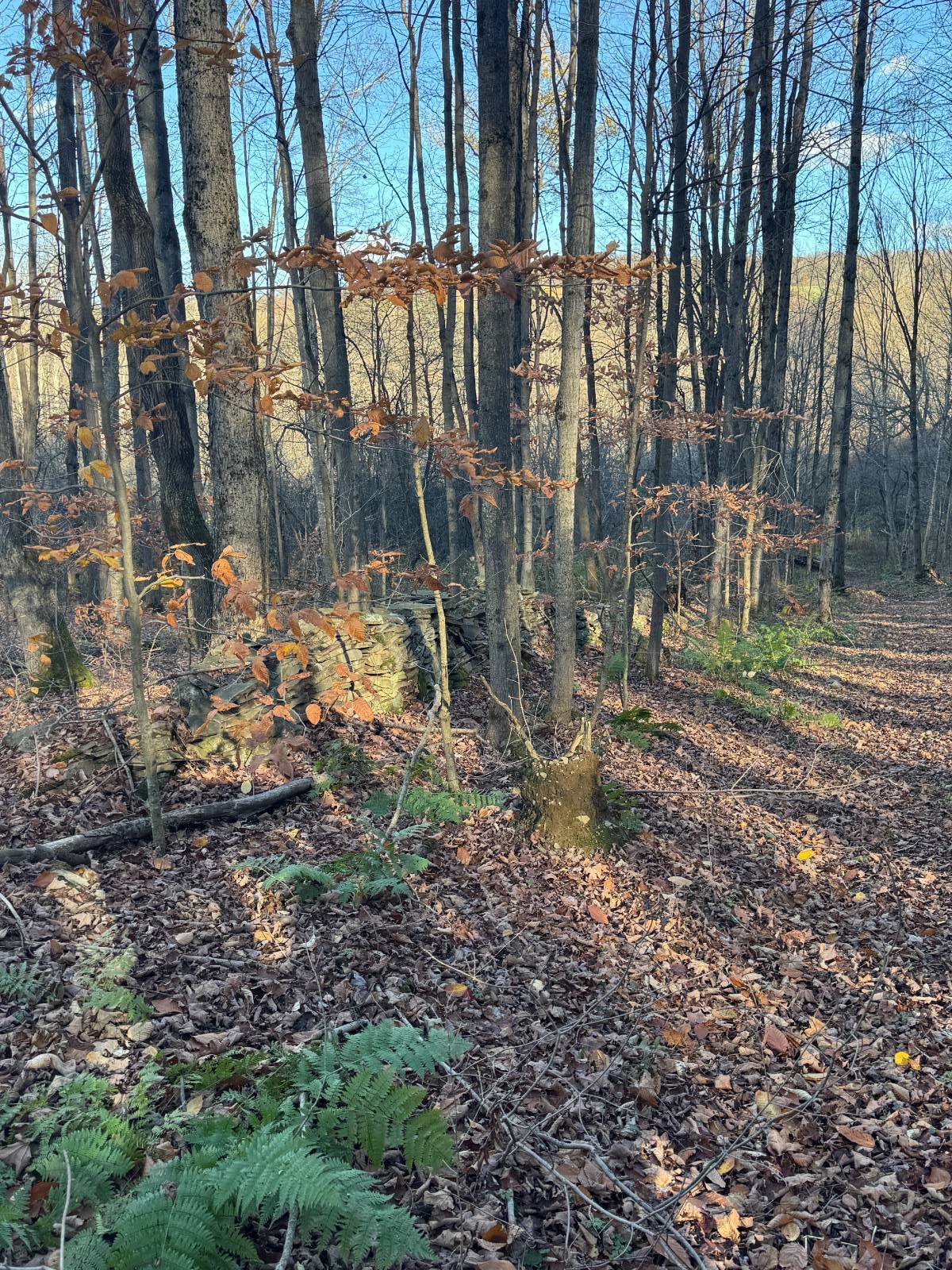 #10 photo, 00 Town Line Rd, McGraw , NY 13101