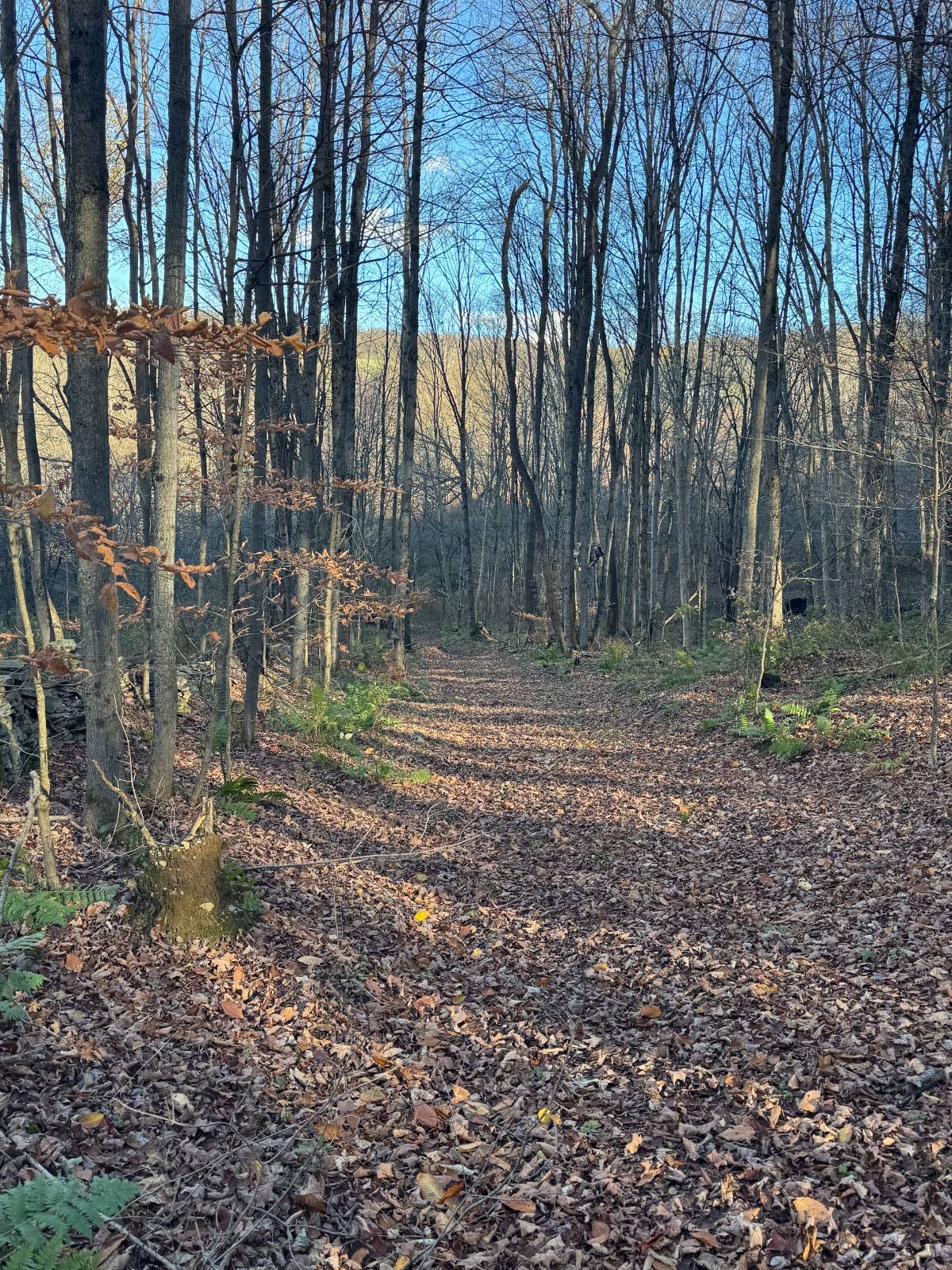 #11 photo, 00 Town Line Rd, McGraw , NY 13101