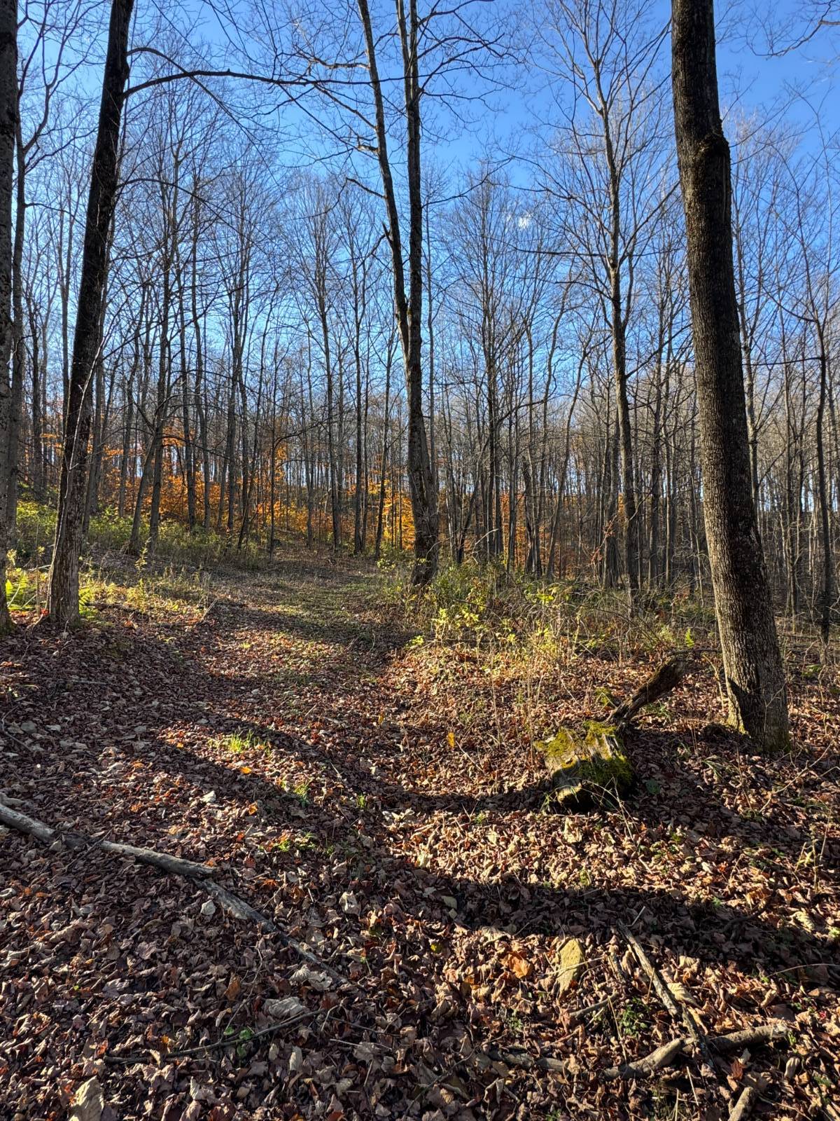 #12 photo, 00 Town Line Rd, McGraw , NY 13101