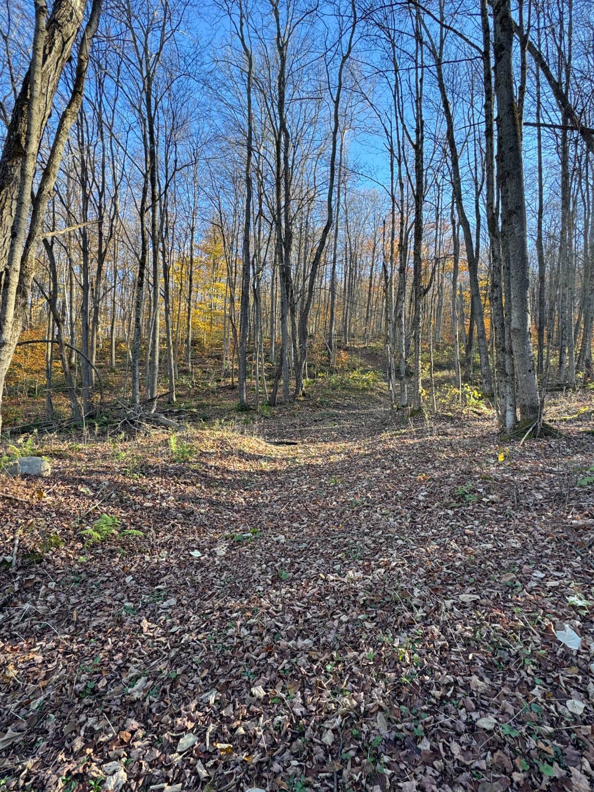 #13 photo, 00 Town Line Rd, McGraw , NY 13101