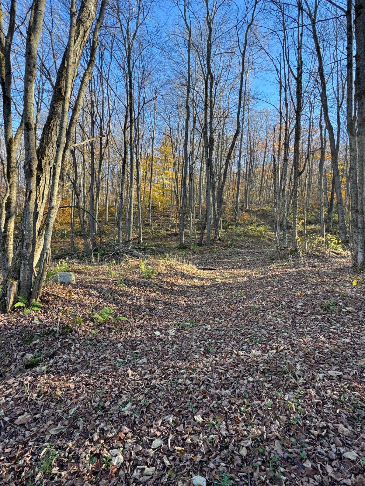 #14 photo, 00 Town Line Rd, McGraw , NY 13101