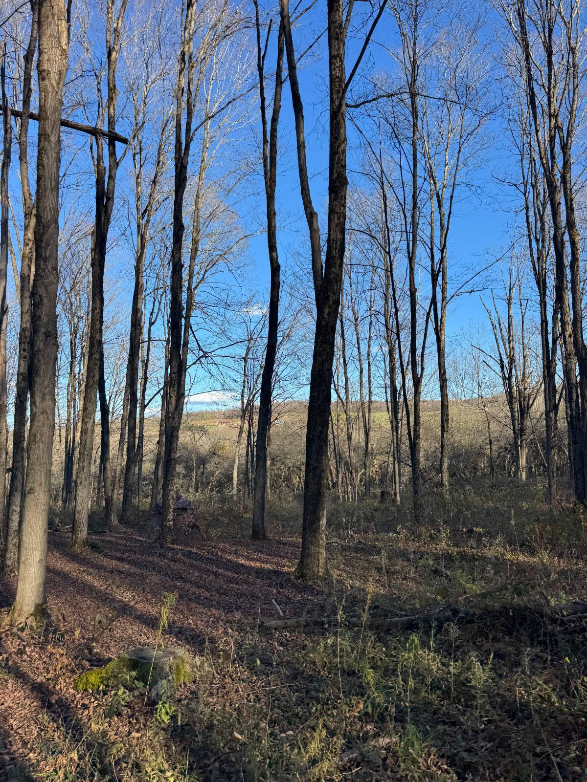 #16 photo, 00 Town Line Rd, McGraw , NY 13101