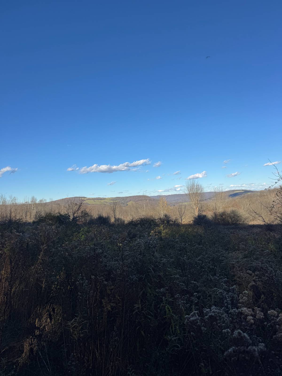 #19 photo, 00 Town Line Rd, McGraw , NY 13101