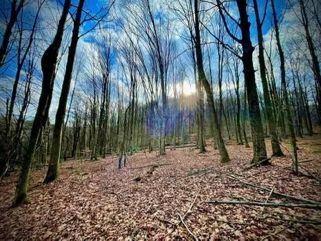 #2 photo, 00 Town Line Rd, McGraw , NY 13101