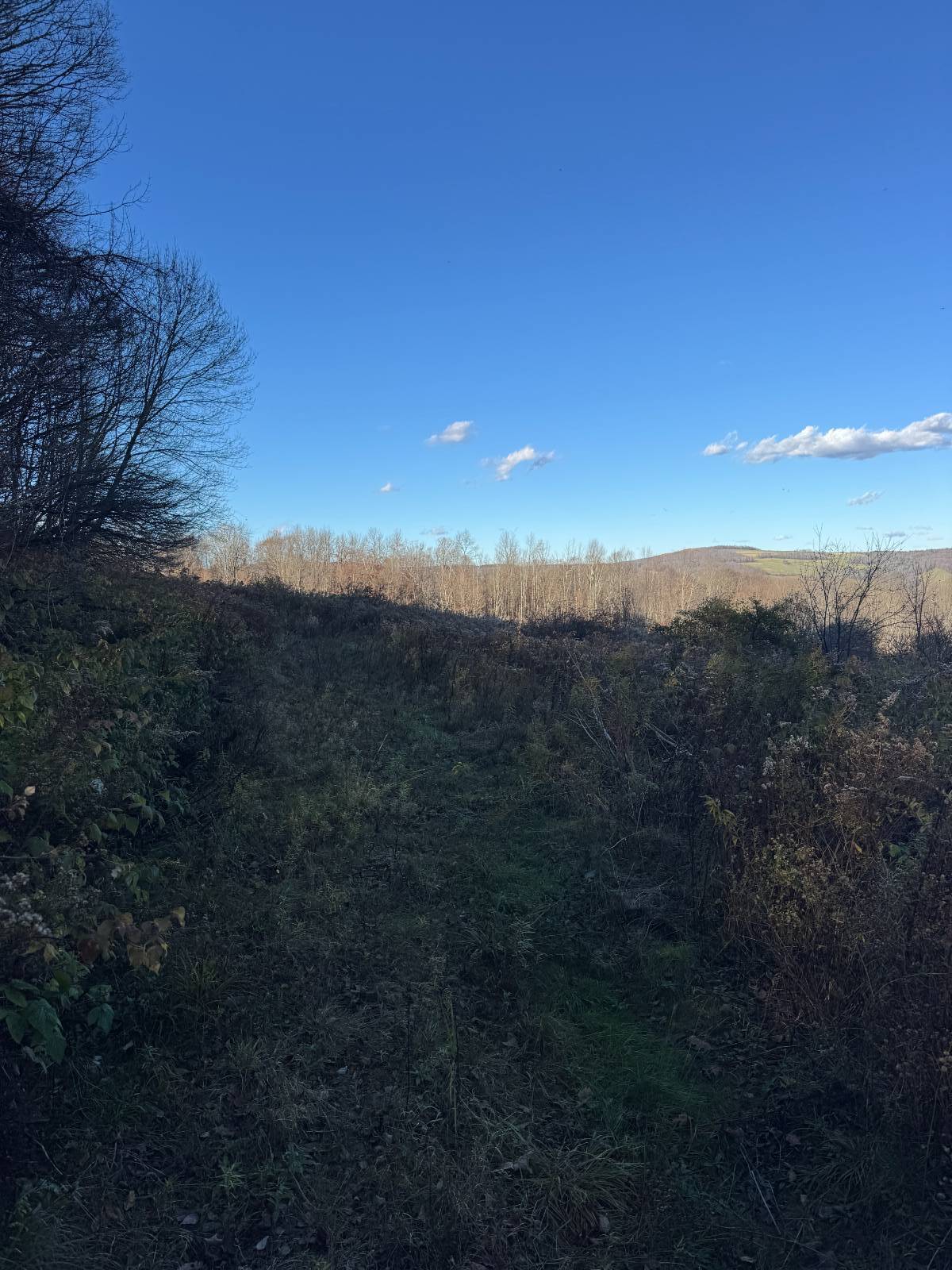 #20 photo, 00 Town Line Rd, McGraw , NY 13101