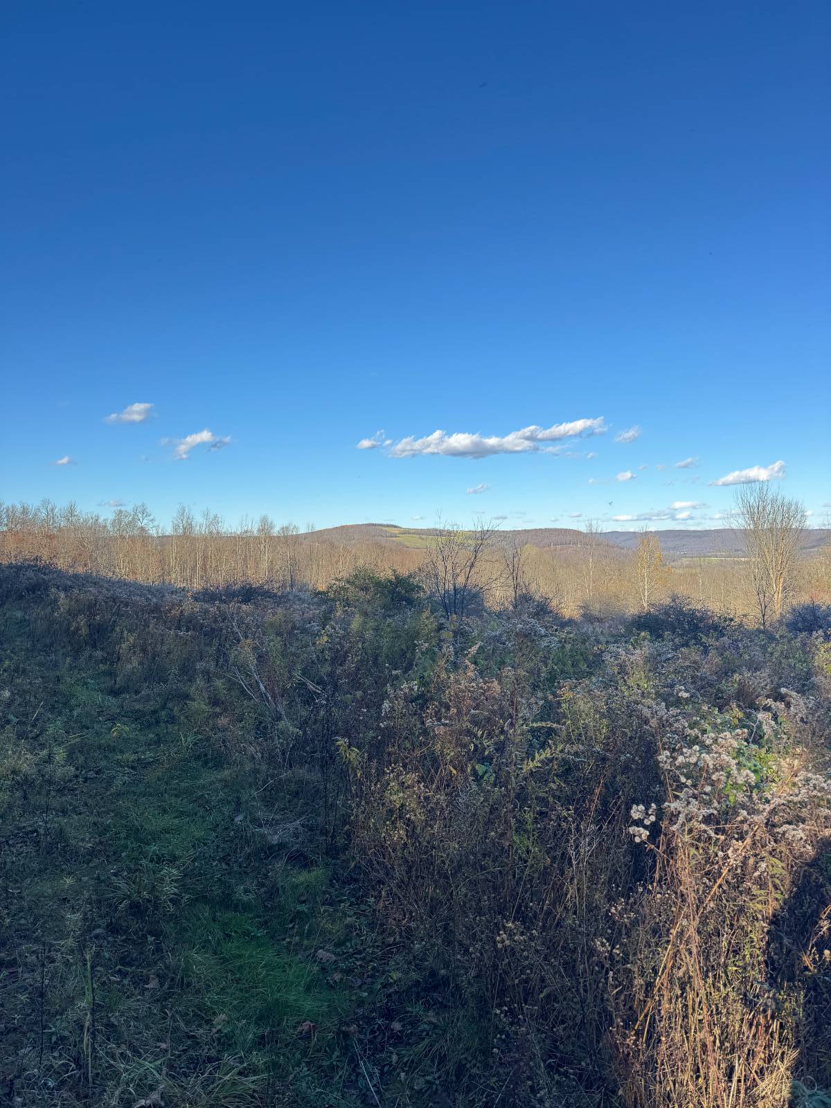 #21 photo, 00 Town Line Rd, McGraw , NY 13101