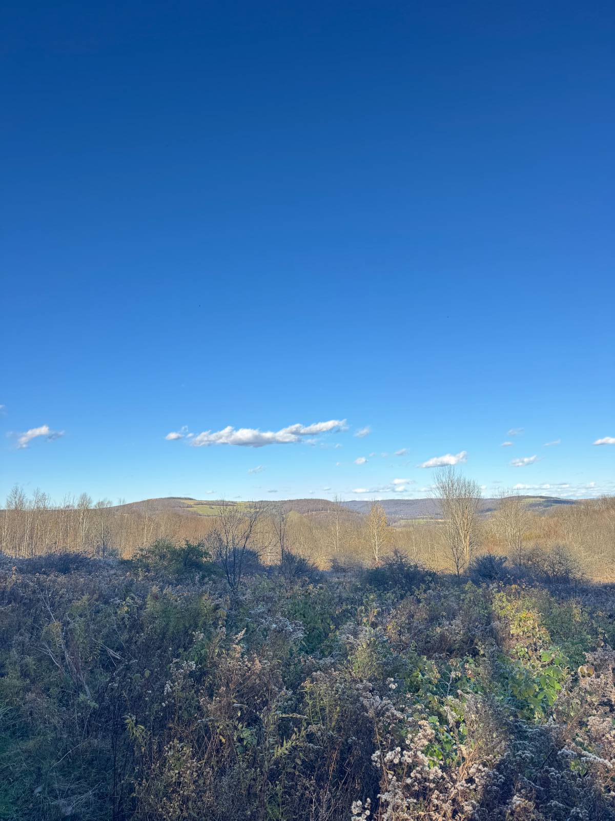 #22 photo, 00 Town Line Rd, McGraw , NY 13101