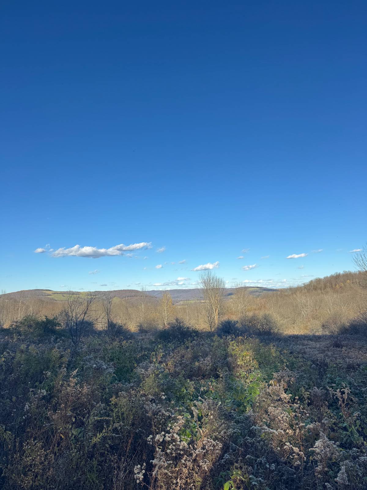 #23 photo, 00 Town Line Rd, McGraw , NY 13101