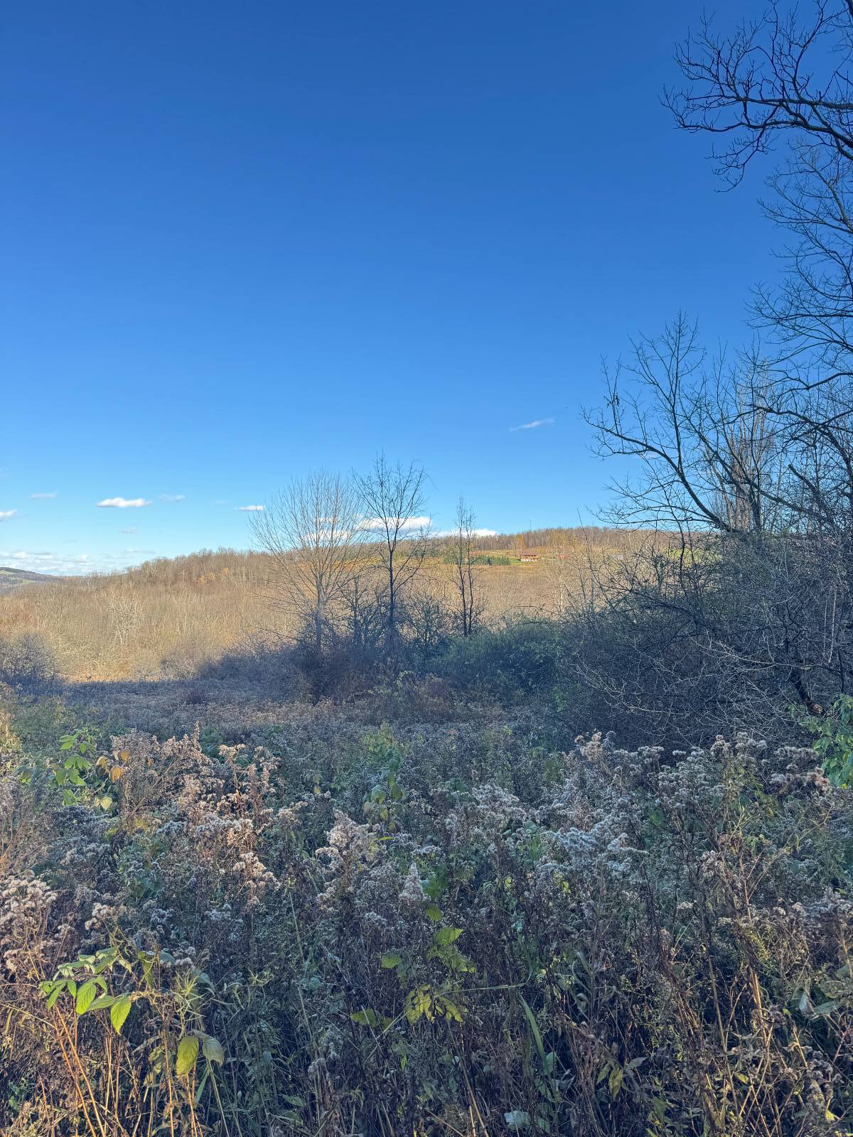 #24 photo, 00 Town Line Rd, McGraw , NY 13101