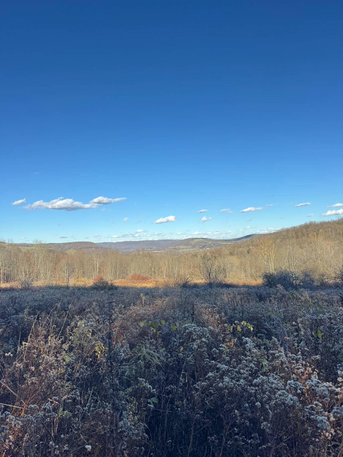 #25 photo, 00 Town Line Rd, McGraw , NY 13101