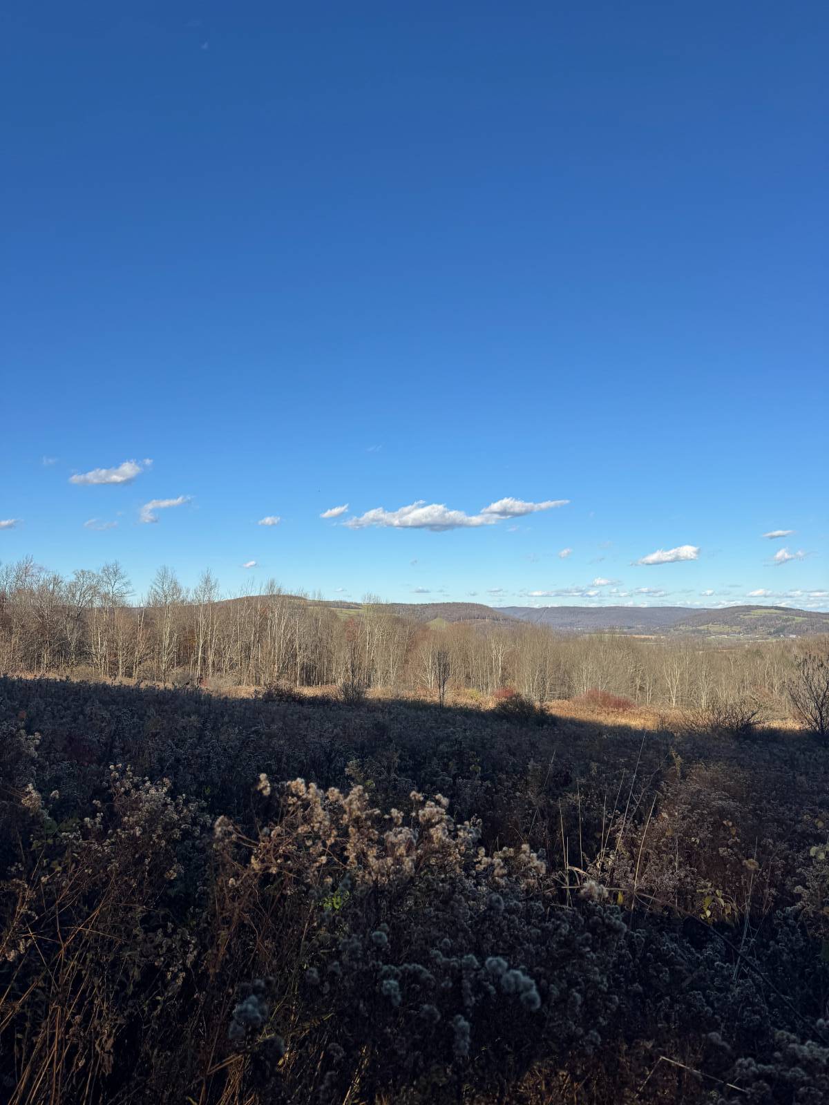 #26 photo, 00 Town Line Rd, McGraw , NY 13101