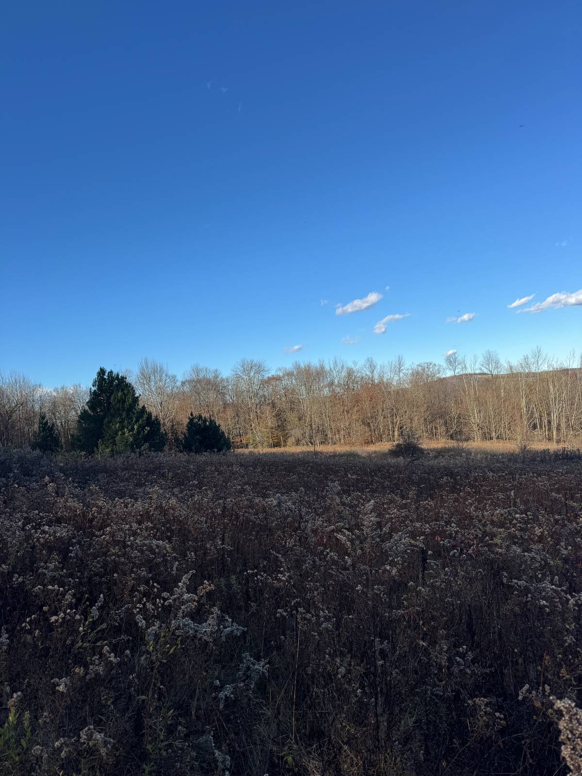 #27 photo, 00 Town Line Rd, McGraw , NY 13101