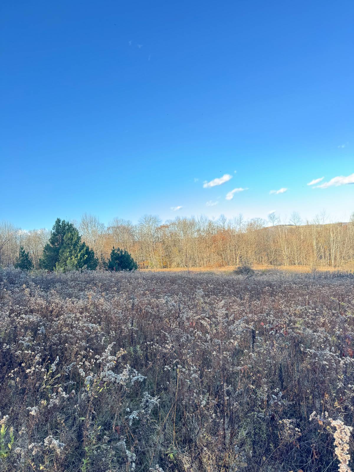 #28 photo, 00 Town Line Rd, McGraw , NY 13101