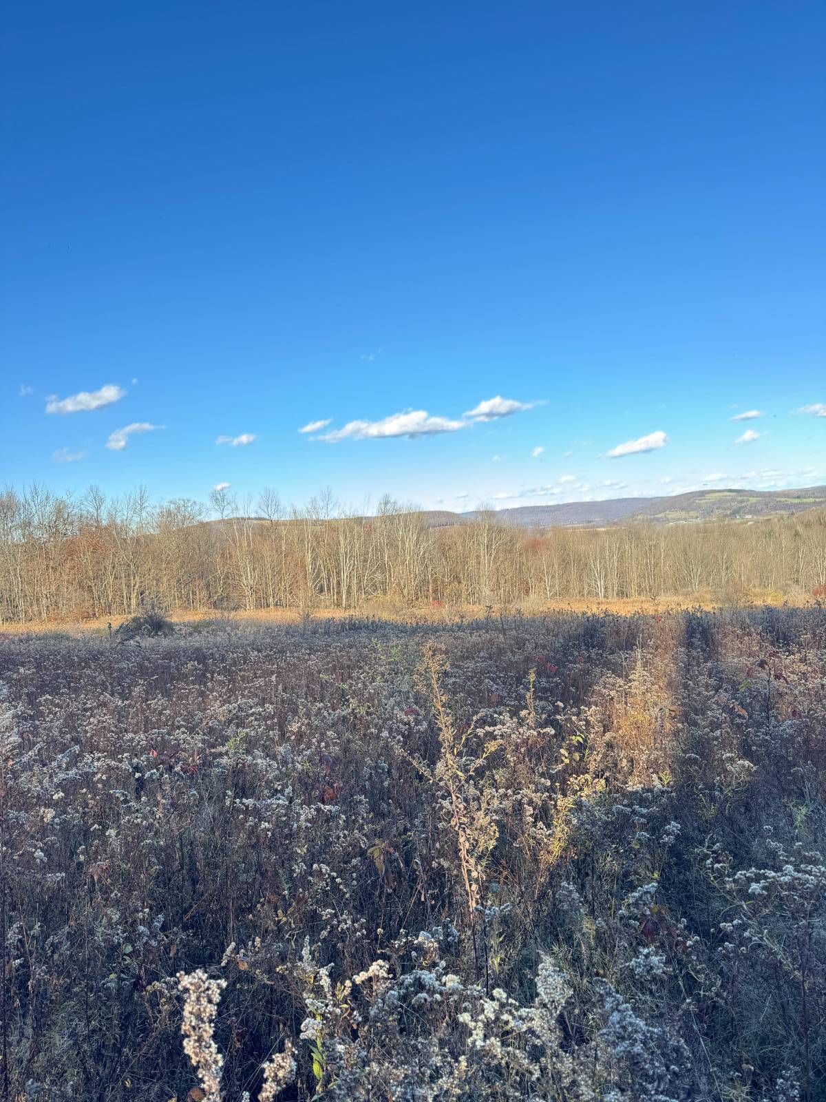 #29 photo, 00 Town Line Rd, McGraw , NY 13101