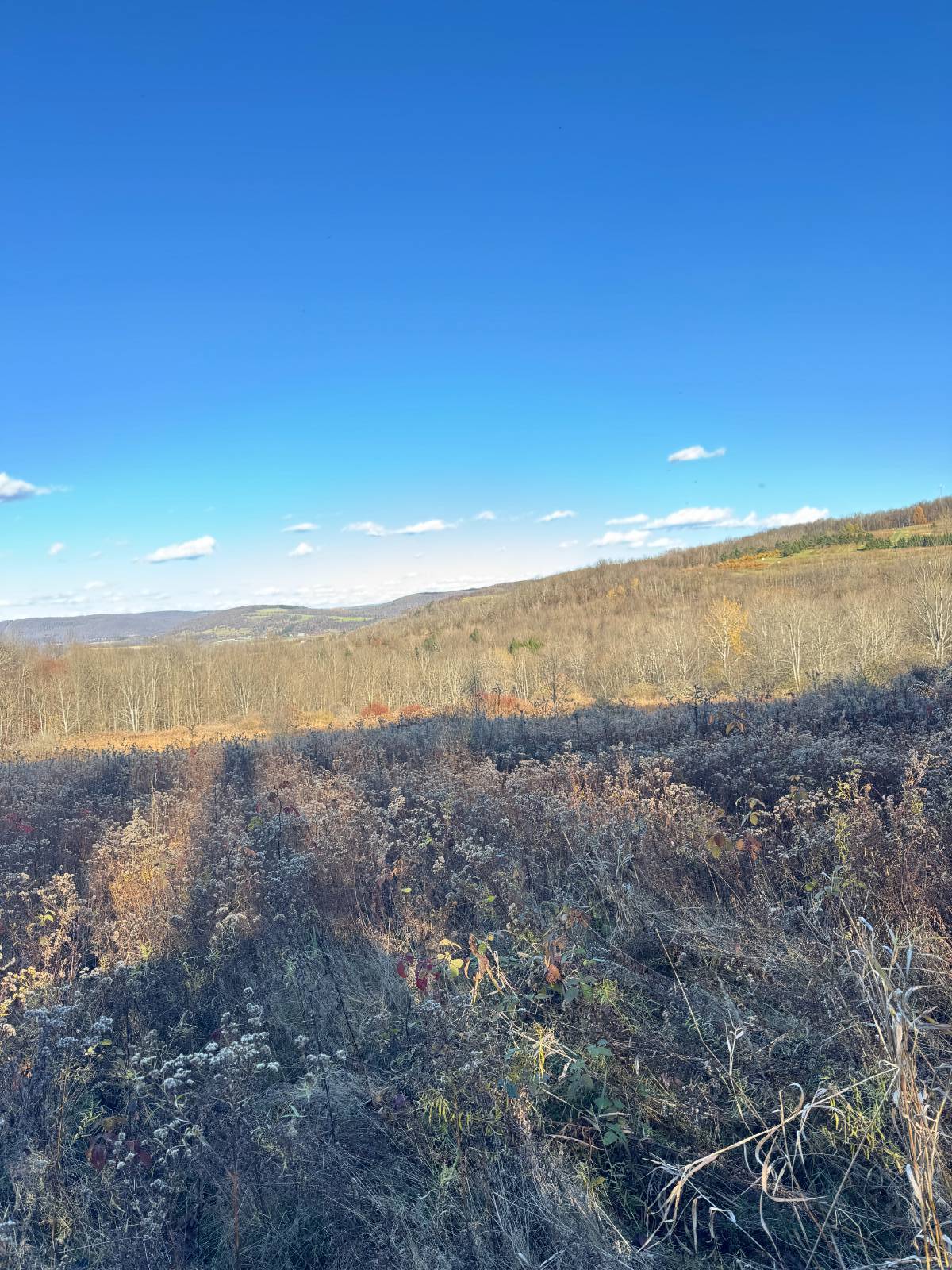 #30 photo, 00 Town Line Rd, McGraw , NY 13101