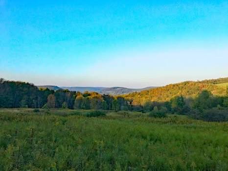 #6 photo, 00 Town Line Rd, McGraw , NY 13101