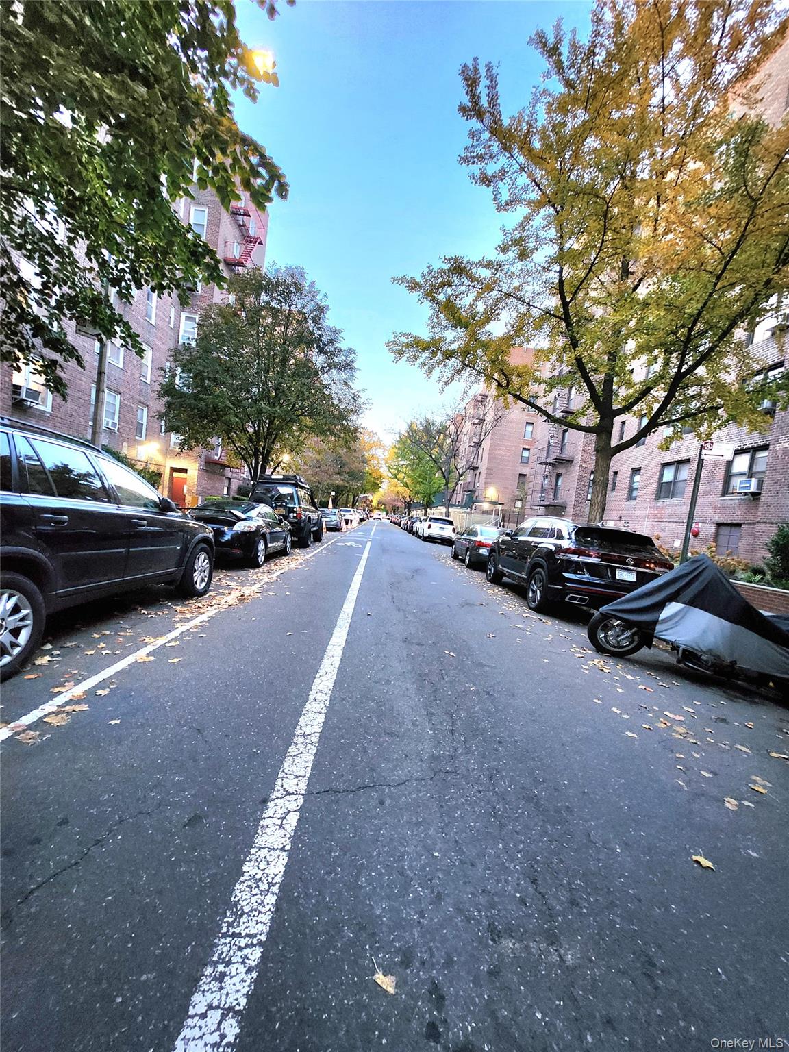 #20 photo, 33-27 91, Jackson Heights , NY 11372