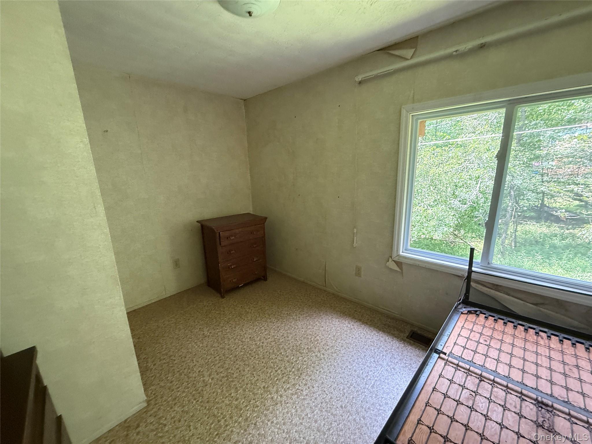 #13 photo, 9 Lake Drive, Parksville , NY 12768