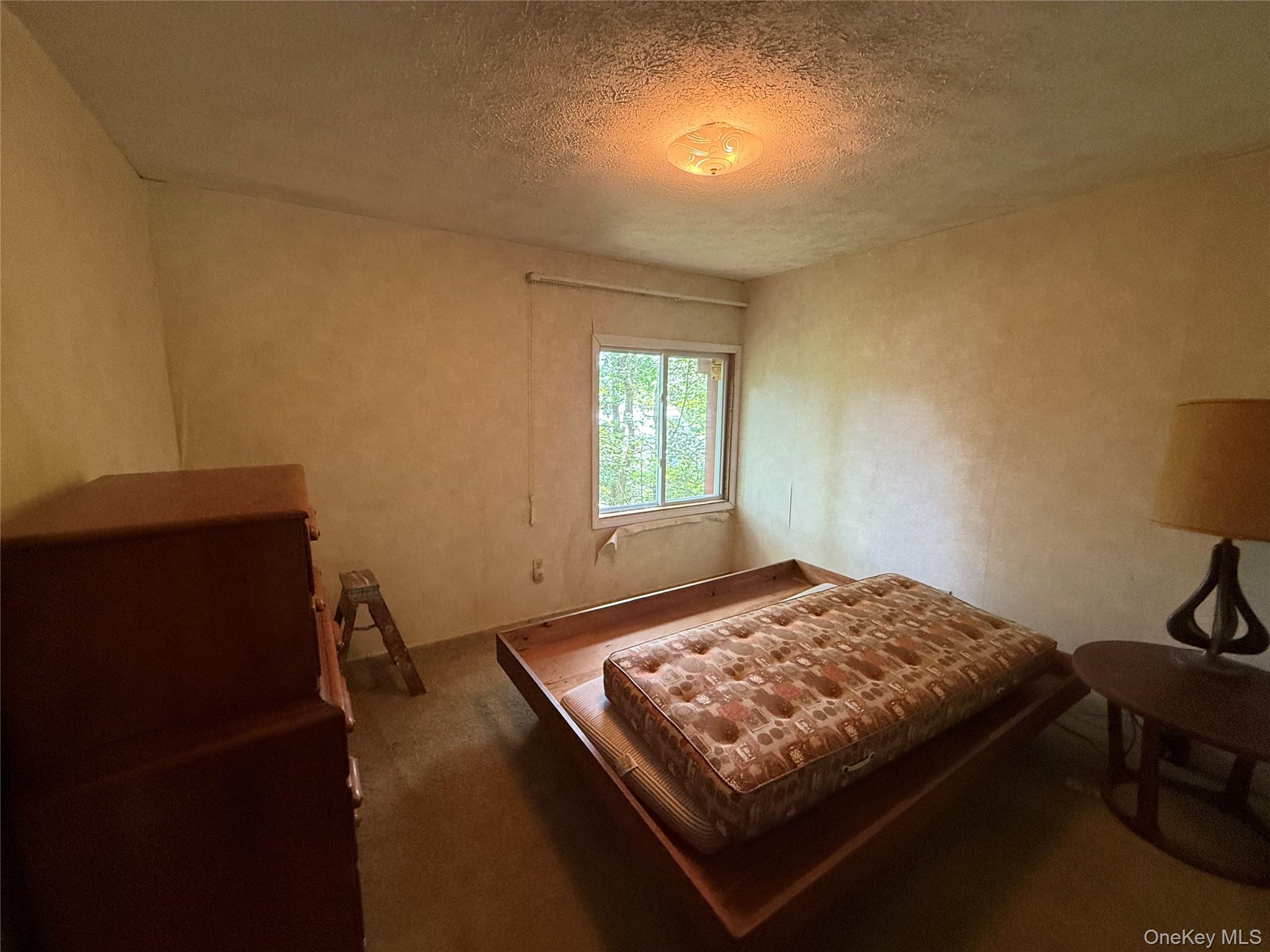 #15 photo, 9 Lake Drive, Parksville , NY 12768