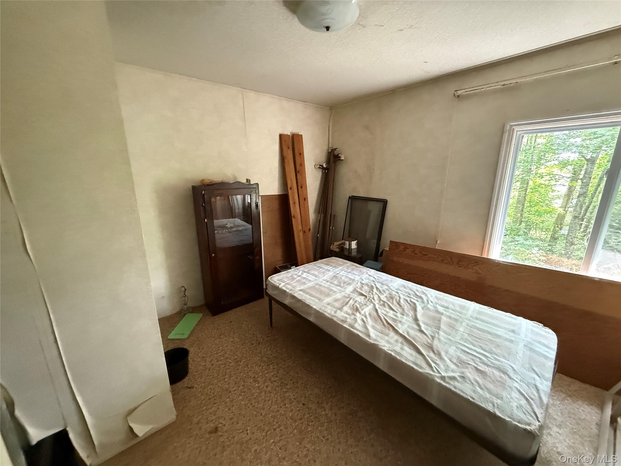 #19 photo, 9 Lake Drive, Parksville , NY 12768