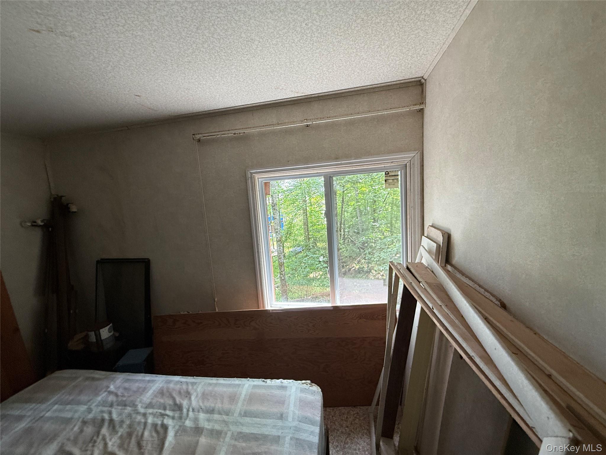 #20 photo, 9 Lake Drive, Parksville , NY 12768