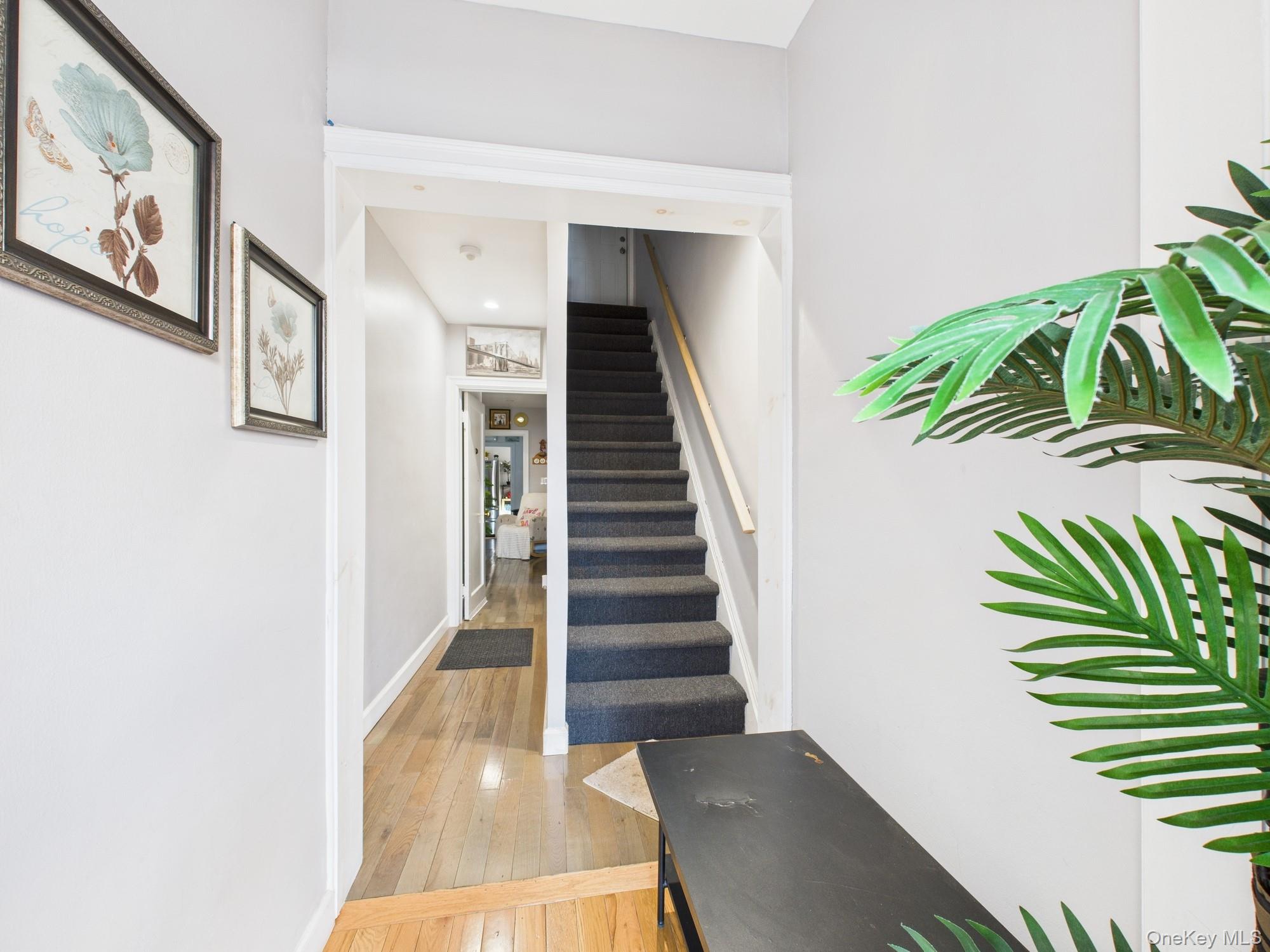 #6 photo, 3234 Paulding Avenue, Bronx , NY 10469