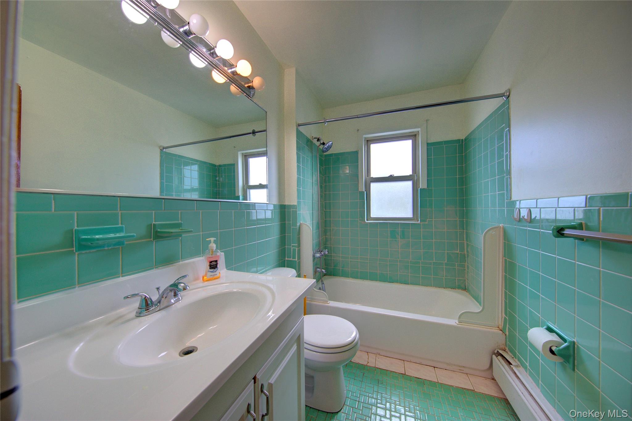 #6 photo, 527 Cameron Street, Elmont , NY 11003