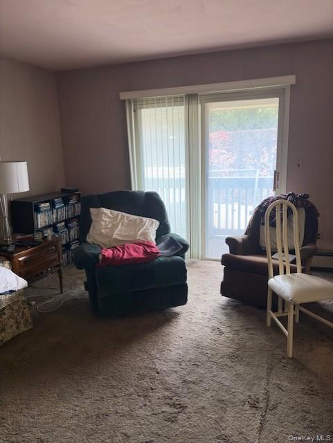 #15 photo, 1338 Robin Lane, Bayside , NY 11360