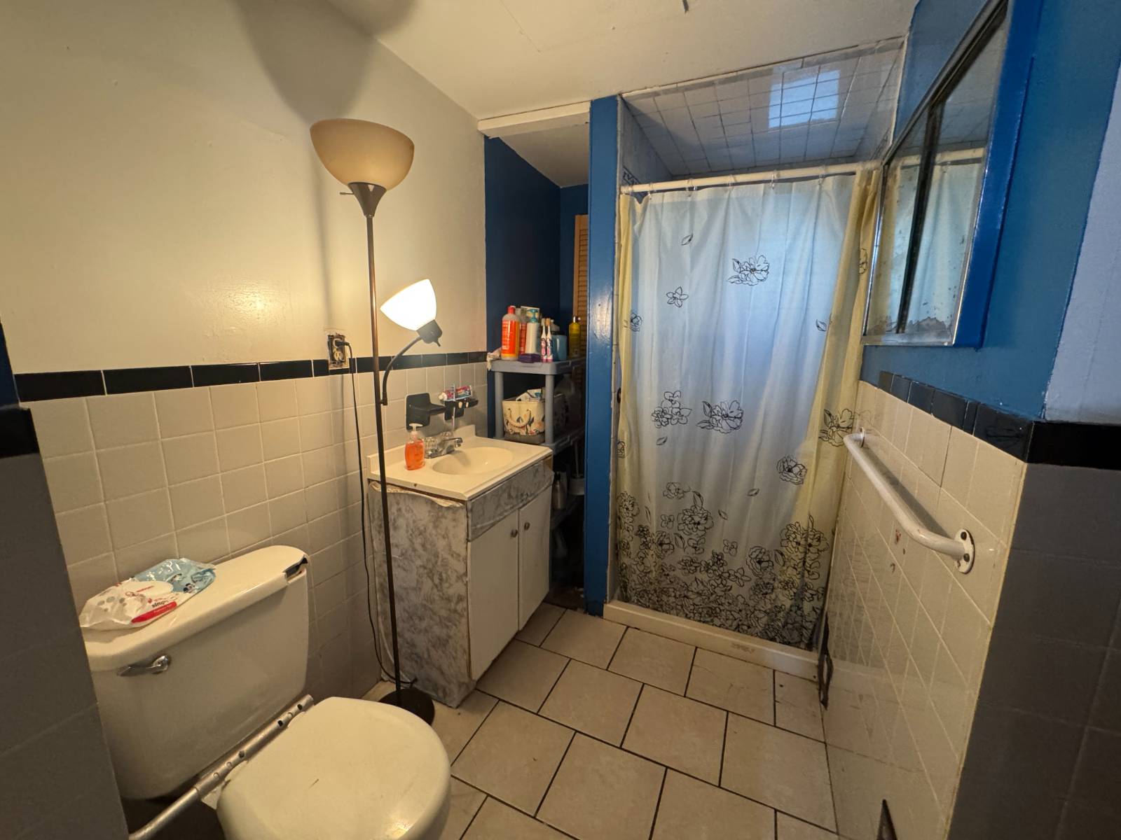 #10 photo, 134-15 102nd Avenue, South Richmond Hill , NY 11419