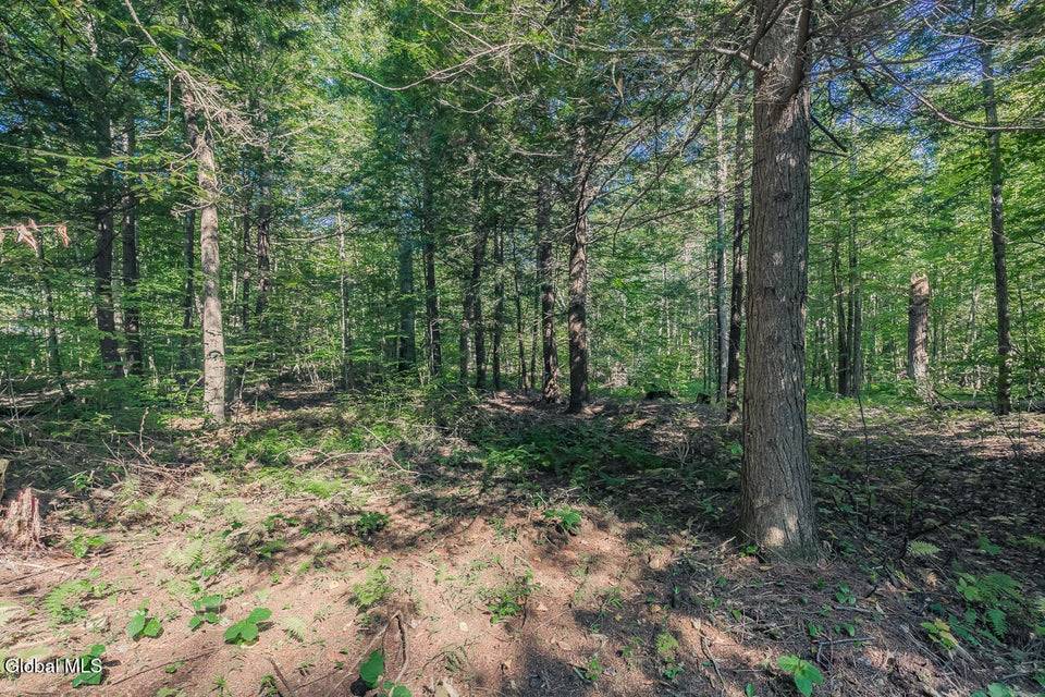 #6 photo, L.39.2 Rt.9, Ganesvoort , NY 12831