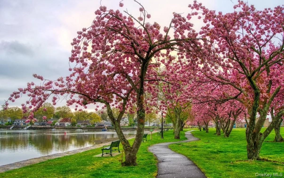 #16 photo, 604 Tompkins, Mamaroneck , NY 10543