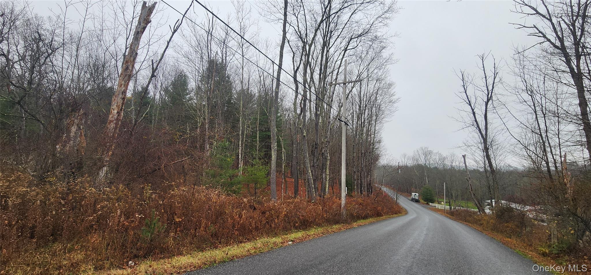 #1 photo, Thompson Road, Thompsonville , NY 12784